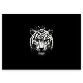 Поздравительная открытка с принтом Dark Tiger в Санкт-Петербурге, 100% бумага | плотность бумаги 280 г/м2, матовая, на обратной стороне линовка и место для марки
 | africa | creepy | dark | desert | predator | scary | tiger | tigers | африка | жуткий | мрачный | пустыня | страшный | тигр | тигренок | тигрица | тигрицы | тигры | тигрята | хищник