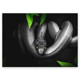 Поздравительная открытка с принтом Змея в Санкт-Петербурге, 100% бумага | плотность бумаги 280 г/м2, матовая, на обратной стороне линовка и место для марки
 | гадюка | животные | змея | листья | природа | удав | черно белое | черное и белое