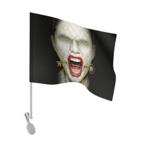 Флаг для автомобиля с принтом American Horror Story в Санкт-Петербурге, 100% полиэстер | Размер: 30*21 см | ahs | american horror story | hotel | американская история ужасов | губы | ключ | лицо