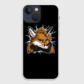 Чехол для iPhone 13 mini с принтом Лис Уверен в Себе в Санкт-Петербурге,  |  | cute | fox | foxes | ginger | tail | забавная | лис | лиса | лисица | лисицы | лисичка | лисички | лисы | милая | рыжая | рыжие | смешная | фыр | хвост | хвосты
