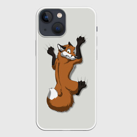 Чехол для iPhone 13 mini с принтом Лис Вцепился в Санкт-Петербурге,  |  | cute | fox | foxes | ginger | tail | вцепился | забавная | капаркается | лис | лиса | лисица | лисицы | лисичка | лисички | лисы | милая | рыжая | рыжие | смешная | фыр | хвост | хвосты