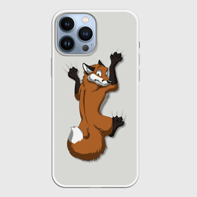 Чехол для iPhone 13 Pro Max с принтом Лис Вцепился в Санкт-Петербурге,  |  | Тематика изображения на принте: cute | fox | foxes | ginger | tail | вцепился | забавная | капаркается | лис | лиса | лисица | лисицы | лисичка | лисички | лисы | милая | рыжая | рыжие | смешная | фыр | хвост | хвосты