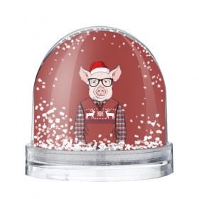 Водяной шар с принтом New Year Pig в Санкт-Петербурге, Пластик | Изображение внутри шара печатается на глянцевой фотобумаге с двух сторон | 2019 | merry christmas | new year | год свиньи | зима | новый год | поросенок | праздник | рождество | свинка | свинья