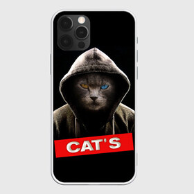 Чехол для iPhone 12 Pro Max с принтом Кот в Санкт-Петербурге, Силикон |  | cat | глаза | животные | капюшон | кот | котенок | кошка | природа | хулиган