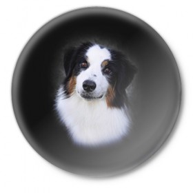Значок с принтом Собака в Санкт-Петербурге,  металл | круглая форма, металлическая застежка в виде булавки | Тематика изображения на принте: голова | животные | мордочка | пес | природа | собака | щенок