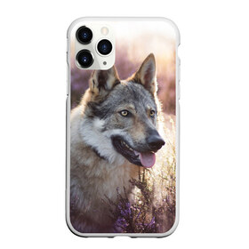 Чехол для iPhone 11 Pro Max матовый с принтом Волк в Санкт-Петербурге, Силикон |  | Тематика изображения на принте: dog | взгляд | волк | лайка | собака | хаски