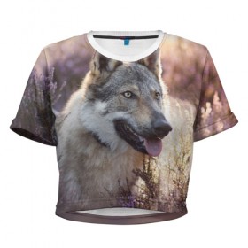 Женская футболка Cropp-top с принтом Волк в Санкт-Петербурге, 100% полиэстер | круглая горловина, длина футболки до линии талии, рукава с отворотами | dog | взгляд | волк | лайка | собака | хаски