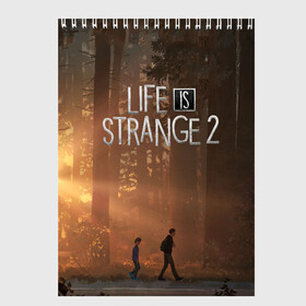 Скетчбук с принтом Life is Strange 2 в Санкт-Петербурге, 100% бумага
 | 48 листов, плотность листов — 100 г/м2, плотность картонной обложки — 250 г/м2. Листы скреплены сверху удобной пружинной спиралью | Тематика изображения на принте: adventure | life | life is strange | road | video game | дороги | жизнь | закат | квест | лес | приключения