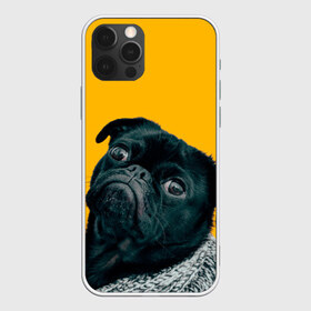Чехол для iPhone 12 Pro Max с принтом Бульдожка в Санкт-Петербурге, Силикон |  | бульдог | паг | пес | собака | черный