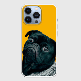 Чехол для iPhone 13 Pro с принтом Бульдожка в Санкт-Петербурге,  |  | бульдог | паг | пес | собака | черный