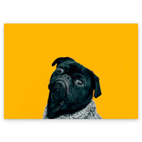 Поздравительная открытка с принтом Бульдожка в Санкт-Петербурге, 100% бумага | плотность бумаги 280 г/м2, матовая, на обратной стороне линовка и место для марки
 | бульдог | паг | пес | собака | черный