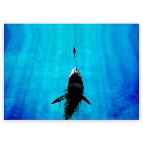 Поздравительная открытка с принтом Акула на охоте в Санкт-Петербурге, 100% бумага | плотность бумаги 280 г/м2, матовая, на обратной стороне линовка и место для марки
 | акула | женщина | море | охота | рыба | хищник
