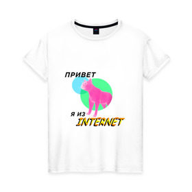 Женская футболка хлопок с принтом Привет я из internet в Санкт-Петербурге, 100% хлопок | прямой крой, круглый вырез горловины, длина до линии бедер, слегка спущенное плечо | internet | интернет | кот | мем | мемы про котов | надпись | прикол