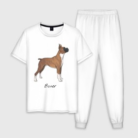 Мужская пижама хлопок с принтом Немецкий Боксер в Санкт-Петербурге, 100% хлопок | брюки и футболка прямого кроя, без карманов, на брюках мягкая резинка на поясе и по низу штанин
 | Тематика изображения на принте: boxer | dog | боксёр | собака | собака боксер | собаки