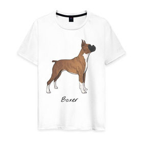 Мужская футболка хлопок с принтом Немецкий Боксер в Санкт-Петербурге, 100% хлопок | прямой крой, круглый вырез горловины, длина до линии бедер, слегка спущенное плечо. | Тематика изображения на принте: boxer | dog | боксёр | собака | собака боксер | собаки