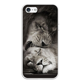 Чехол для iPhone 5/5S матовый с принтом Лев и львица в Санкт-Петербурге, Силикон | Область печати: задняя сторона чехла, без боковых панелей | животные | кот | кошка | лев | львица | оскал | природа | рык | рычит | хищник
