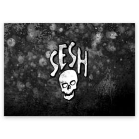 Поздравительная открытка с принтом SESH Team (Bones) в Санкт-Петербурге, 100% бумага | плотность бумаги 280 г/м2, матовая, на обратной стороне линовка и место для марки
 | Тематика изображения на принте: bones | boy | dead | deadboy | elmo | hdmi | hip | hop | kennedy | metal | rap | rapper | scream | sesh | seshollowaterboyz | skull | team | кеннеди | кости | костя | метал | рэп | рэпер | сеш | скрим | сэш | хип | хоп | череп | элмо