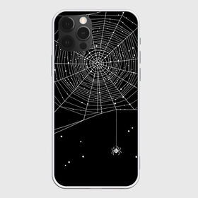 Чехол для iPhone 12 Pro Max с принтом Паутина в Санкт-Петербурге, Силикон |  | вода | день мертвых | дизайнерская | искусство | капли | картинка | круто | лучший | мексика | мода | молодёжная | мрак | насекомое | ночь | паук | паутина | подарок | поздравление | праздник | рисунок