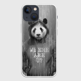 Чехол для iPhone 13 mini с принтом Панда в Санкт-Петербурге,  |  | дождь | животные | капюшон | кофта | медведь | мишка | панда | природа | хипстер