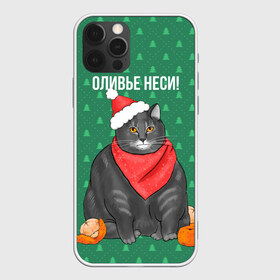 Чехол для iPhone 12 Pro Max с принтом Кот хочет кушот в Санкт-Петербурге, Силикон |  | кот | кушот | новый год | оливье | толстый кот