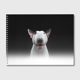Альбом для рисования с принтом Oh snap! в Санкт-Петербурге, 100% бумага
 | матовая бумага, плотность 200 мг. | Тематика изображения на принте: bull terrier | dog |   | бультерьер | собака