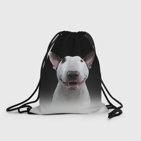 Рюкзак-мешок 3D с принтом Oh snap! в Санкт-Петербурге, 100% полиэстер | плотность ткани — 200 г/м2, размер — 35 х 45 см; лямки — толстые шнурки, застежка на шнуровке, без карманов и подкладки | bull terrier | dog |   | бультерьер | собака