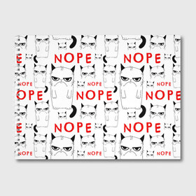 Альбом для рисования с принтом Grumpy Cat Nope! в Санкт-Петербурге, 100% бумага
 | матовая бумага, плотность 200 мг. | Тематика изображения на принте: злой | кот | котейка | котэ | мем | недовольный | ненавижу | нет | понедельник | угрюмый