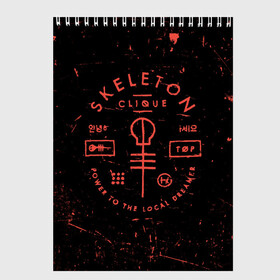 Скетчбук с принтом TOP - Skeleton Clique в Санкт-Петербурге, 100% бумага
 | 48 листов, плотность листов — 100 г/м2, плотность картонной обложки — 250 г/м2. Листы скреплены сверху удобной пружинной спиралью | band | best | blurry | face | indie | logo | music | one | pilots | pop | regional | rock | symbol | top | trench | twenty | vessel | группа | инди | лого | логотип | музыка | пилоты | поп | рок | символ | топ | тренч