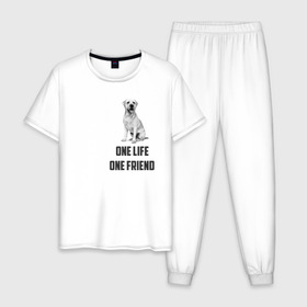 Мужская пижама хлопок с принтом Labrador one в Санкт-Петербурге, 100% хлопок | брюки и футболка прямого кроя, без карманов, на брюках мягкая резинка на поясе и по низу штанин
 | labrador | one friends | one life | друг | друг человека | лабрадор | собака
