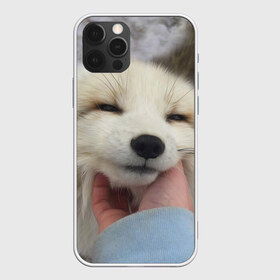 Чехол для iPhone 12 Pro Max с принтом Лисенок в Санкт-Петербурге, Силикон |  | голова | животные | лиса | мордочка | пасть | природа | рыжая | улыбается | улыбка | язык
