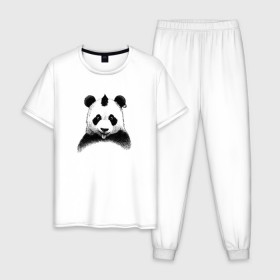 Мужская пижама хлопок с принтом Панда Панк в Санкт-Петербурге, 100% хлопок | брюки и футболка прямого кроя, без карманов, на брюках мягкая резинка на поясе и по низу штанин
 | panda | рок