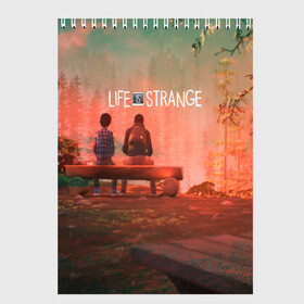 Скетчбук с принтом Life is Strange в Санкт-Петербурге, 100% бумага
 | 48 листов, плотность листов — 100 г/м2, плотность картонной обложки — 250 г/м2. Листы скреплены сверху удобной пружинной спиралью | caulfield | chloe price | game | kate marsh | life | life is strange | life is strange: before the storm | max | strange | две луны | игры | кейт марш | колфилд | макс | подростки | студенты