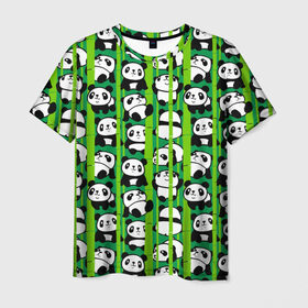 Мужская футболка 3D с принтом Медведи панда в Санкт-Петербурге, 100% полиэфир | прямой крой, круглый вырез горловины, длина до линии бедер | animals | bamboo | bears | branches | funny | panda | trees | аниме | бамбук | весёлые | ветки | графика | деревья | животные | зелёный | искусство | картинка | красивый | крутой | малыши | медведи | мода | модный | молодёжная