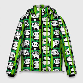 Мужская зимняя куртка 3D с принтом Медведи панда в Санкт-Петербурге, верх — 100% полиэстер; подкладка — 100% полиэстер; утеплитель — 100% полиэстер | длина ниже бедра, свободный силуэт Оверсайз. Есть воротник-стойка, отстегивающийся капюшон и ветрозащитная планка. 

Боковые карманы с листочкой на кнопках и внутренний карман на молнии. | Тематика изображения на принте: animals | bamboo | bears | branches | funny | panda | trees | аниме | бамбук | весёлые | ветки | графика | деревья | животные | зелёный | искусство | картинка | красивый | крутой | малыши | медведи | мода | модный | молодёжная