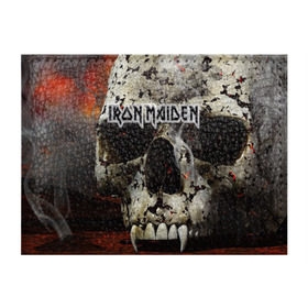Обложка для студенческого билета с принтом Iron Maiden в Санкт-Петербурге, натуральная кожа | Размер: 11*8 см; Печать на всей внешней стороне | Тематика изображения на принте: бас | британия | брюс дикинсон | гитара | группа | дева | железная | метал | нико макбрэйн | рок | стив харрис | хеви | яник герс