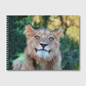 Альбом для рисования с принтом Улыбка львицы в Санкт-Петербурге, 100% бумага
 | матовая бумага, плотность 200 мг. | голова | животные | кот | кошка | лев | лицо | львица | прикол | прикольные | природа | смешные | тигр | тигрица | улыбается | улыбка | юмор