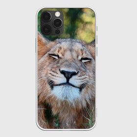 Чехол для iPhone 12 Pro Max с принтом Улыбка львицы в Санкт-Петербурге, Силикон |  | голова | животные | кот | кошка | лев | лицо | львица | прикол | прикольные | природа | смешные | тигр | тигрица | улыбается | улыбка | юмор