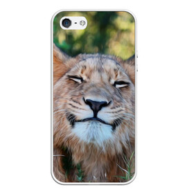 Чехол для iPhone 5/5S матовый с принтом Улыбка львицы в Санкт-Петербурге, Силикон | Область печати: задняя сторона чехла, без боковых панелей | голова | животные | кот | кошка | лев | лицо | львица | прикол | прикольные | природа | смешные | тигр | тигрица | улыбается | улыбка | юмор