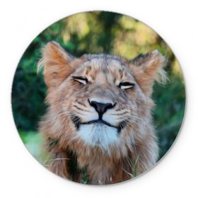 Коврик круглый с принтом Улыбка львицы в Санкт-Петербурге, резина и полиэстер | круглая форма, изображение наносится на всю лицевую часть | голова | животные | кот | кошка | лев | лицо | львица | прикол | прикольные | природа | смешные | тигр | тигрица | улыбается | улыбка | юмор