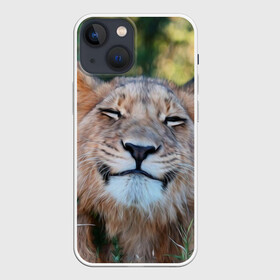 Чехол для iPhone 13 mini с принтом Улыбка львицы в Санкт-Петербурге,  |  | голова | животные | кот | кошка | лев | лицо | львица | прикол | прикольные | природа | смешные | тигр | тигрица | улыбается | улыбка | юмор