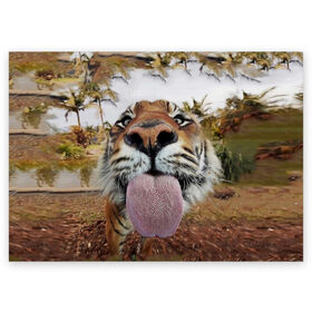 Поздравительная открытка с принтом Тигр показывает язык в Санкт-Петербурге, 100% бумага | плотность бумаги 280 г/м2, матовая, на обратной стороне линовка и место для марки
 | Тематика изображения на принте: голова | животные | кот | кошка | лев | лицо | прикол | прикольные | природа | смешные 
 животные | тигр | тигрица | юмор | язык