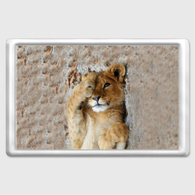 Магнит 45*70 с принтом Львенок в Санкт-Петербурге, Пластик | Размер: 78*52 мм; Размер печати: 70*45 | дикая кошка | животные | кот | кошка | лев | львенок | львица | мордочка | природа | тигр | хищник