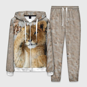 Мужской костюм 3D с принтом Львенок в Санкт-Петербурге, 100% полиэстер | Манжеты и пояс оформлены тканевой резинкой, двухслойный капюшон со шнурком для регулировки, карманы спереди | дикая кошка | животные | кот | кошка | лев | львенок | львица | мордочка | природа | тигр | хищник