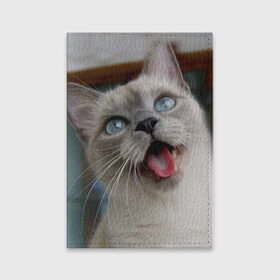 Обложка для паспорта матовая кожа с принтом Сиамский котенок в Санкт-Петербурге, натуральная матовая кожа | размер 19,3 х 13,7 см; прозрачные пластиковые крепления | животные | кот | котенок | котик | кошечка | кошка | милый | мордочка | показывает язык | прикол | серый | сиамская | сиамская кошка | сиамский котенок | юмор | язык