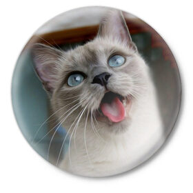 Значок с принтом Сиамский котенок в Санкт-Петербурге,  металл | круглая форма, металлическая застежка в виде булавки | Тематика изображения на принте: животные | кот | котенок | котик | кошечка | кошка | милый | мордочка | показывает язык | прикол | серый | сиамская | сиамская кошка | сиамский котенок | юмор | язык