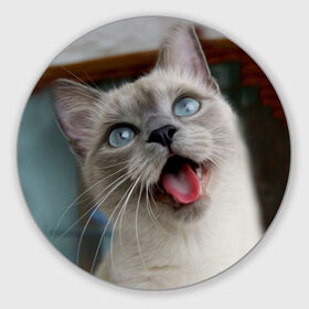 Коврик круглый с принтом Сиамский котенок в Санкт-Петербурге, резина и полиэстер | круглая форма, изображение наносится на всю лицевую часть | животные | кот | котенок | котик | кошечка | кошка | милый | мордочка | показывает язык | прикол | серый | сиамская | сиамская кошка | сиамский котенок | юмор | язык