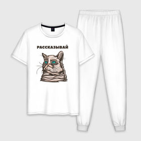 Мужская пижама хлопок с принтом Грустный кот не верит тебе в Санкт-Петербурге, 100% хлопок | брюки и футболка прямого кроя, без карманов, на брюках мягкая резинка на поясе и по низу штанин
 | cat | grumpy | животное | кот | котенок | кошак | кошка