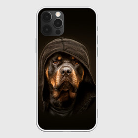 Чехол для iPhone 12 Pro Max с принтом Ротвейлер в капюшоне в Санкт-Петербурге, Силикон |  | Тематика изображения на принте: rottweiler | капюшон | молоссы | пастух | пёс | собака | щенок