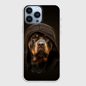 Чехол для iPhone 13 Pro Max с принтом Ротвейлер в капюшоне в Санкт-Петербурге,  |  | Тематика изображения на принте: rottweiler | капюшон | молоссы | пастух | пёс | собака | щенок