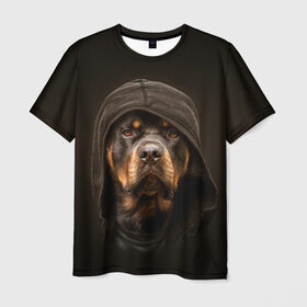 Мужская футболка 3D с принтом Ротвейлер в капюшоне в Санкт-Петербурге, 100% полиэфир | прямой крой, круглый вырез горловины, длина до линии бедер | Тематика изображения на принте: rottweiler | капюшон | молоссы | пастух | пёс | собака | щенок